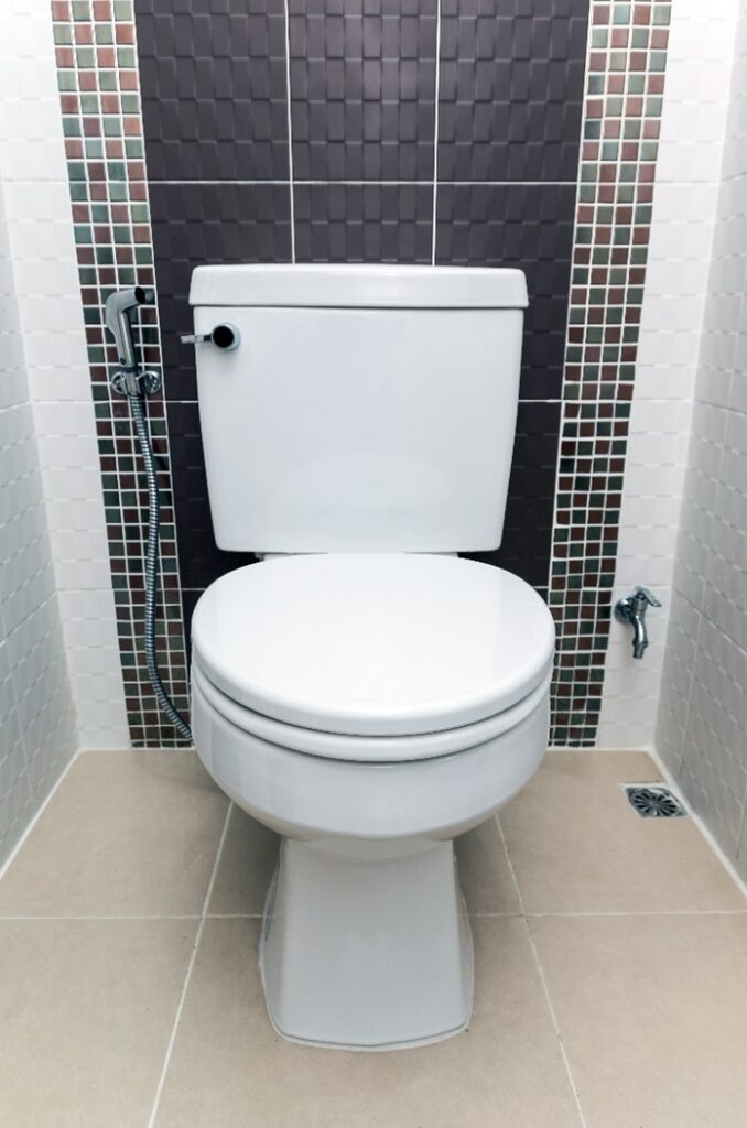 Toilet Repair in Tacoma